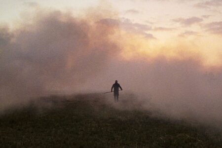 Afbeelding van de Film:Rietland Voorpremière 