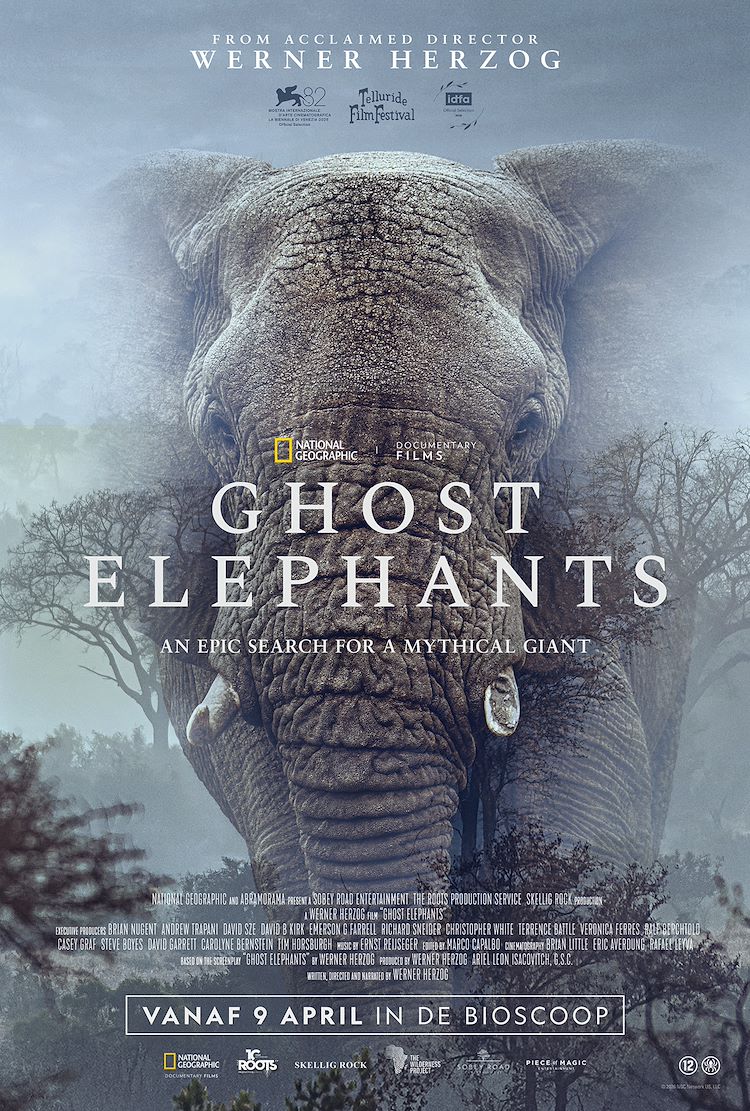 Afbeelding van de Film:Ghost Elephants 